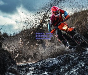 电讯报独家，帕奎塔调查引发连锁反应，蓝军错失帕尔默内幕曝光
